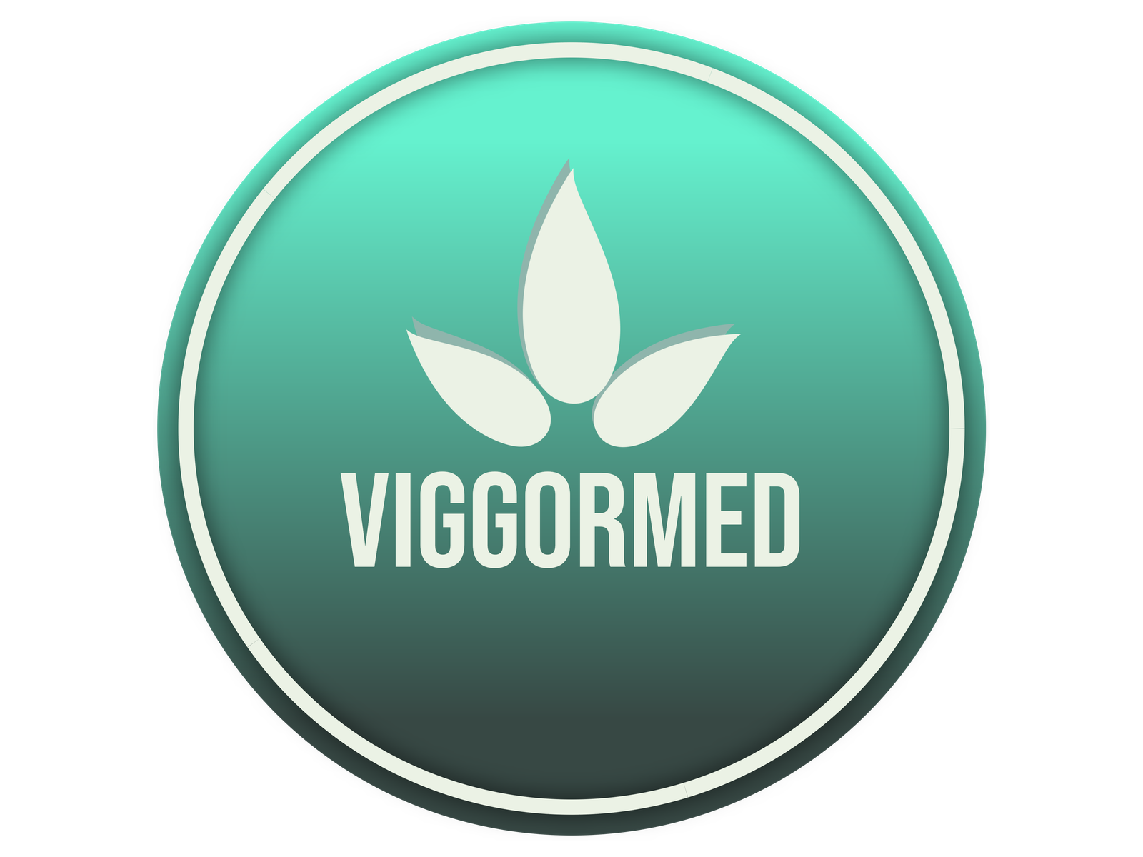 viggormed.com